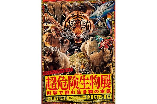 デュエルマスターズカード 12枚セット 5d1108510c8c6d0656e4394bdf99f8