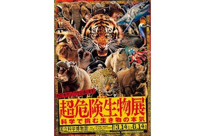 デュエル・マスターズコラボカードスリーブセット券｜アソビュー！