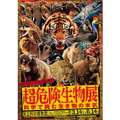 デュエル・マスターズコラボカードスリーブセット券|アソビュー! デュエル・マスターズコラボカードスリーブセット券|アソビュー!