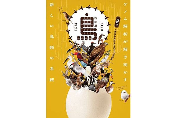 前売｜親子チケット】特別展「鳥～ゲノム解析が解き明かす新しい鳥類の