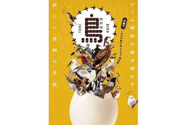 前売｜親子チケット】特別展「鳥～ゲノム解析が解き明かす新しい鳥類の