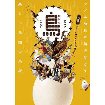 前売|親子チケット】特別展「鳥~ゲノム解析が解き明かす新しい鳥類の 前売|親子チケット】特別展「鳥~ゲノム解析が解き明かす新しい鳥類の