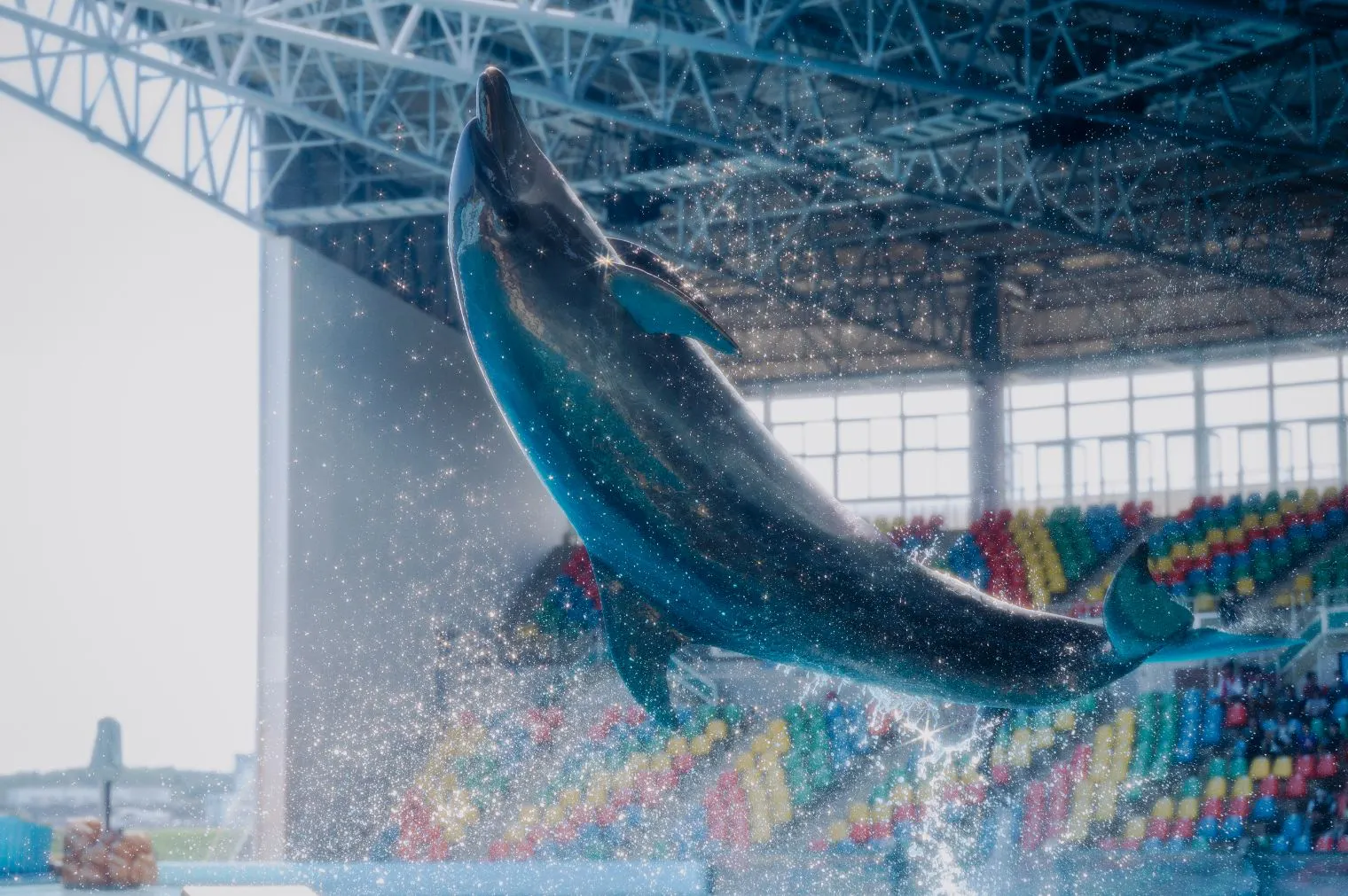アドベンチャーワールド （14：00～入園）ハーフデー入園券