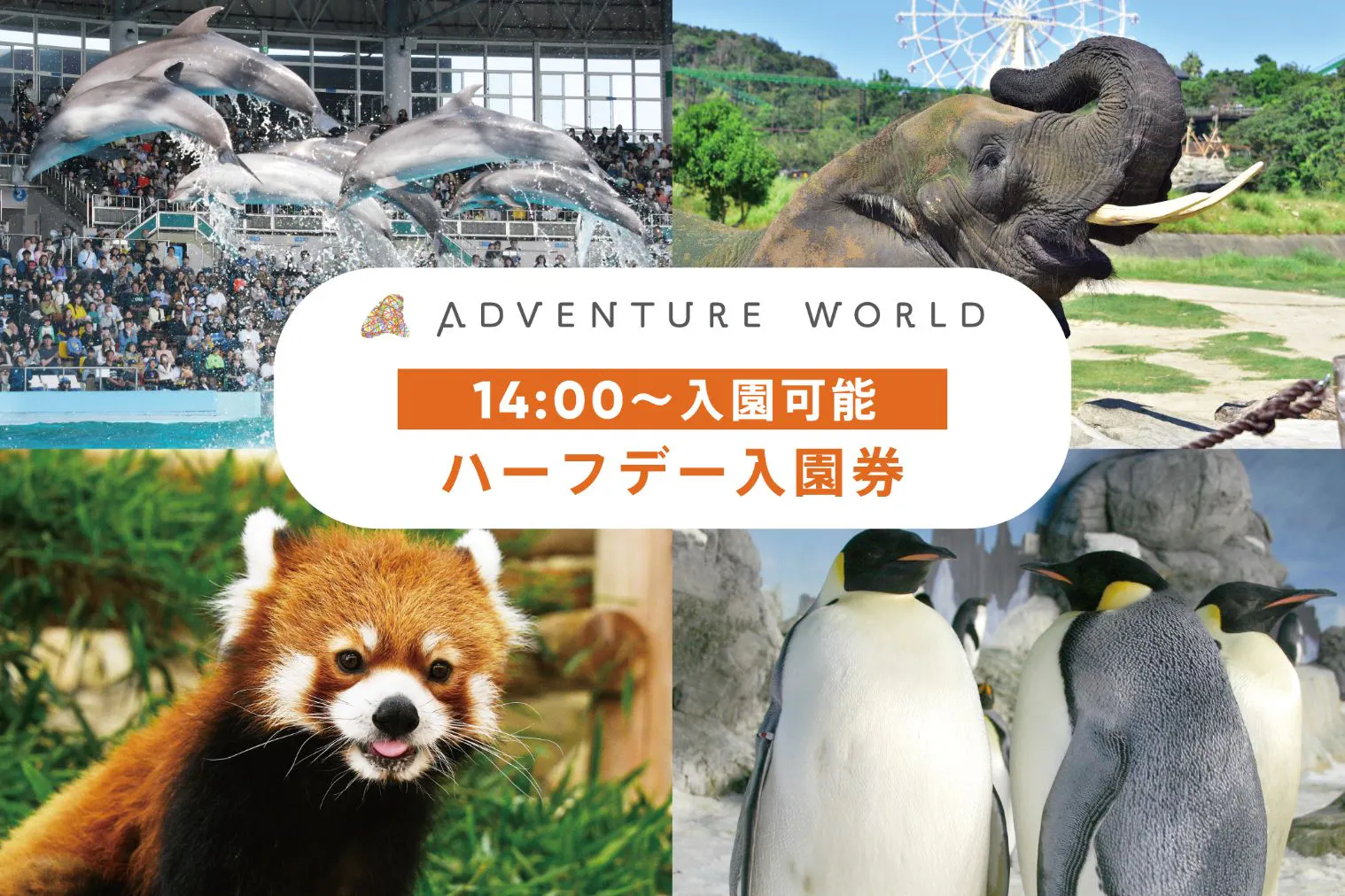 アドベンチャーワールド （14：00～入園）ハーフデー入園券