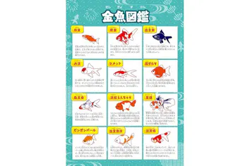 光で彩る金魚のアクアリウム THE OUTLETS HIROSHIMA aquarium