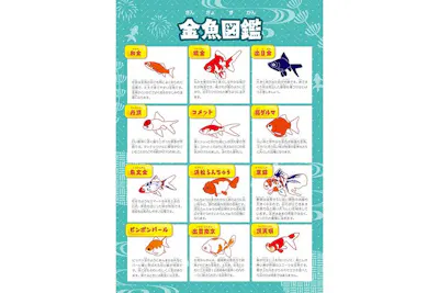 超希少ダッチアクアリウムの聖書 Das Wunder im Wohnzimmer 光で彩る金魚のアクアリウム THE OUTLETS HIROSHIMA aquarium
