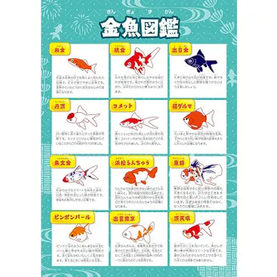 光で彩る金魚のアクアリウム THE OUTLETS HIROSHIMA aquarium 光で彩る金魚のアクアリウム THE OUTLETS HIROSHIMA aquarium