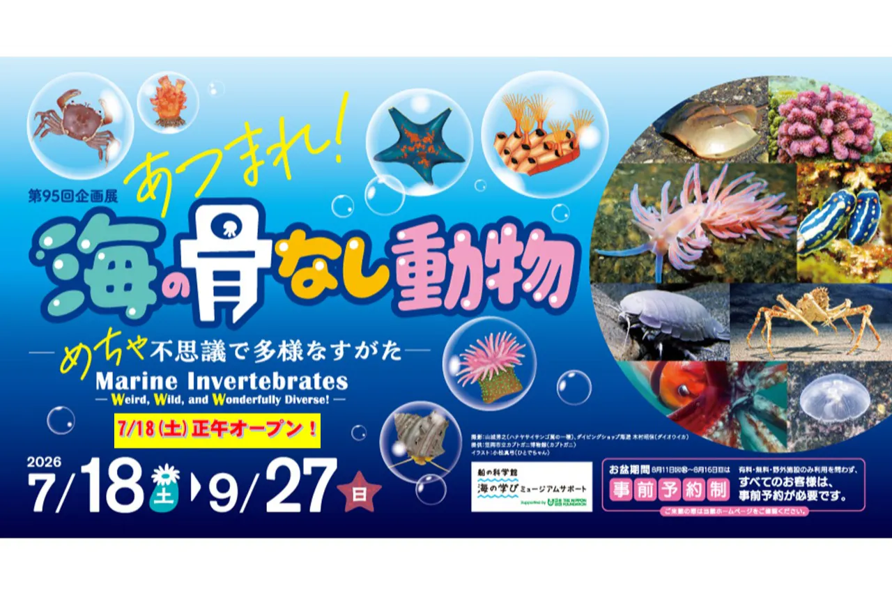 【企画展】本館・野外共通券