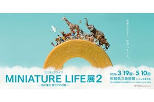 前売券】MINIATURE LIFE展2 － 田中達也 見立ての世界－｜アソビュー！