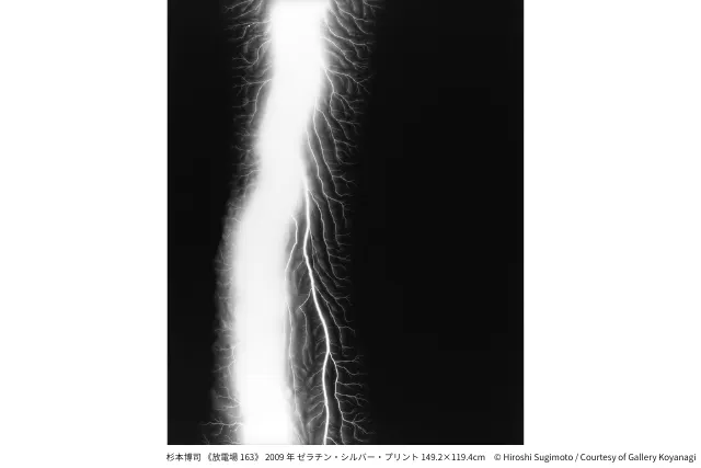 前売券】杉本博司 絶滅写真｜アソビュー！