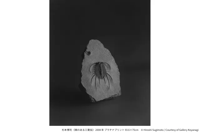 当日券】杉本博司 絶滅写真 - 杉本博司 絶滅写真(東京国立近代美術館)