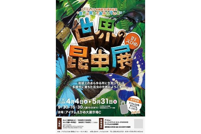【前売券】世界は昆虫であふれている「世界の昆虫展」in えひめ