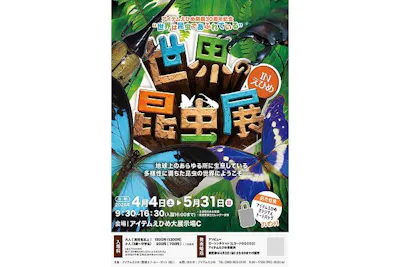 世界の昆虫キッテ　使用済み　約30枚 前売券】世界は昆虫であふれている「世界の昆虫展」in えひめ