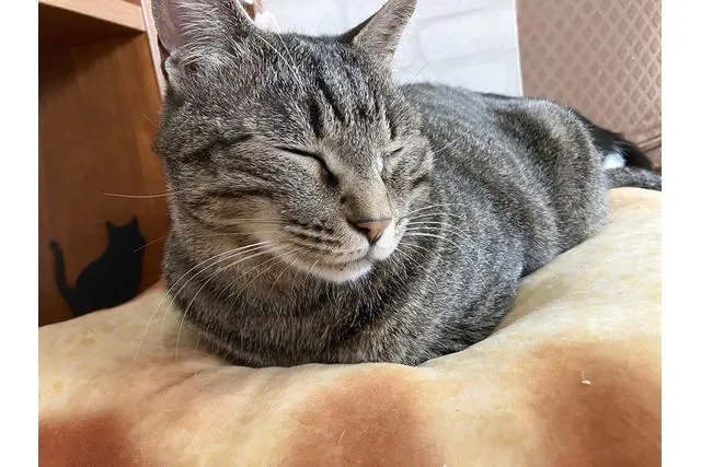 ドリンク、デザート付き〜90分セット〜