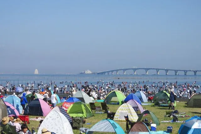 【現地購入よりお得な100円引き！】金田みたて海岸潮干狩り場　潮干狩りチケット