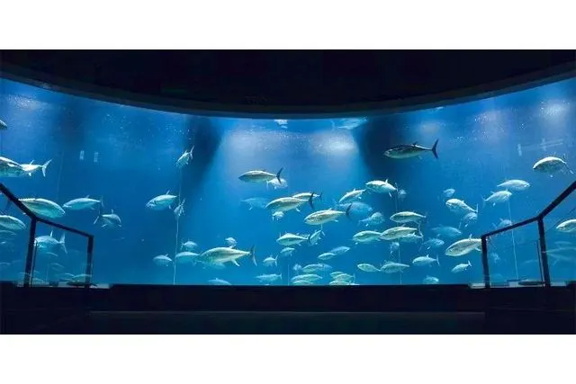 葛西臨海水族園　日付指定WEBチケット