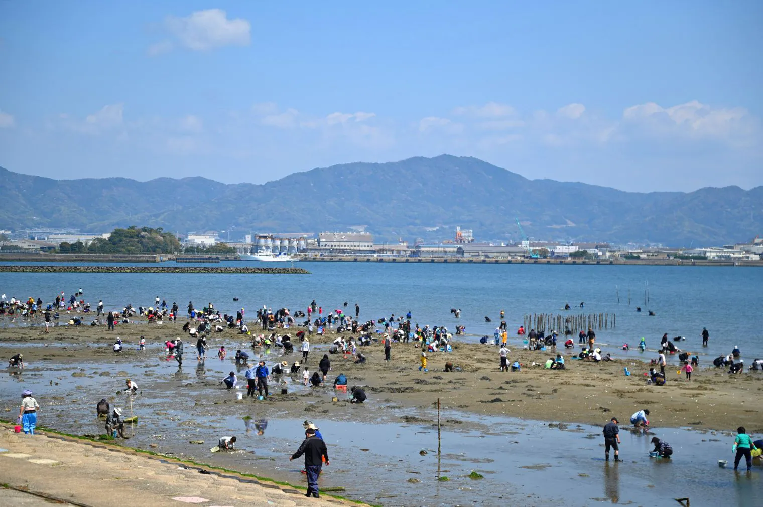 【潮干狩りチケット】家族で笑顔！のんびり潮干狩りと海辺のピクニック