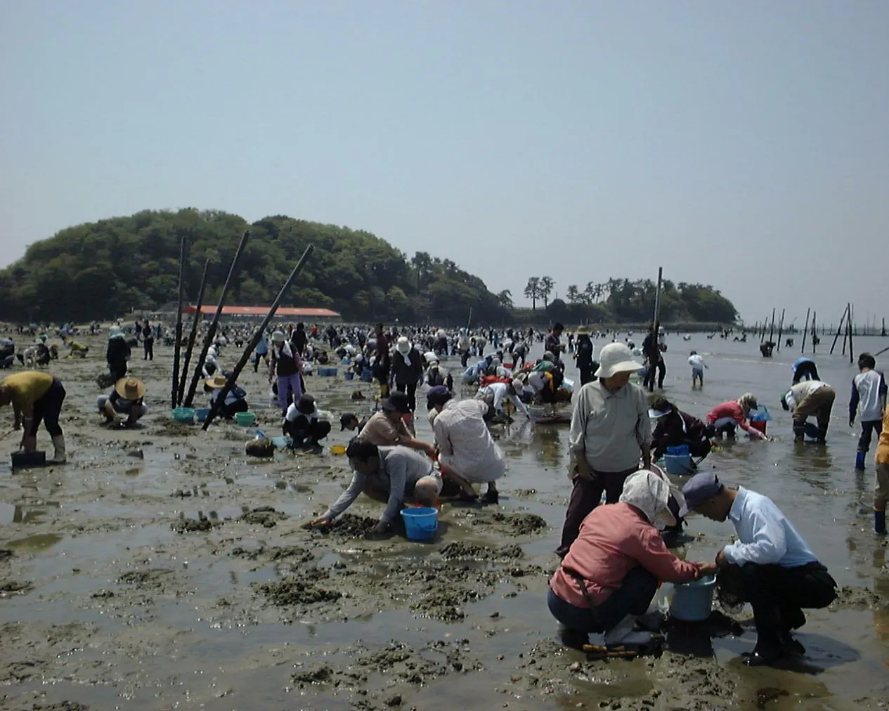 干潮時に現れる海の道「トンボロ」を歩いて無人島へ！東はず海岸・前島潮干狩りチケット