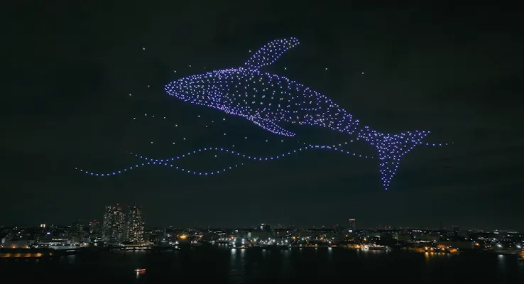 気球　花火　夜空　猫　5個セット 空の広場 A自由席】6/6(土)_OSAKA BAY SKYLUMINA FIREWORKS & DRONES