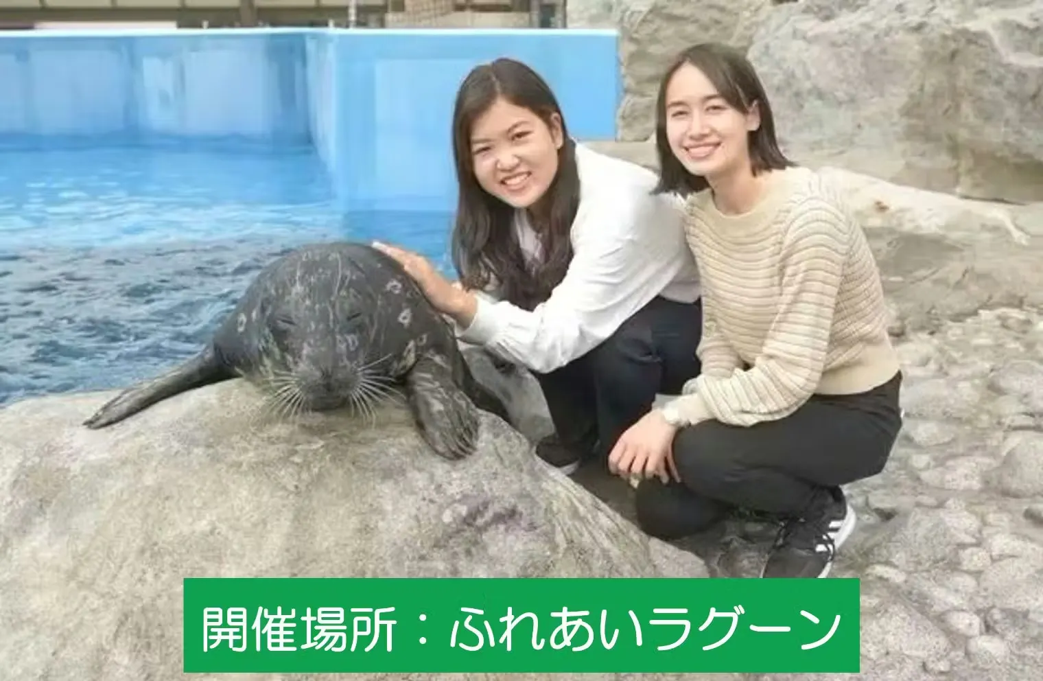 ペンギン・アザラシ・オタリアの海の生きもの覗き見隊※ふれあい