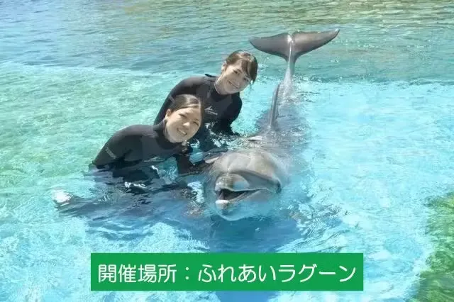 イルカとおよごう ※ふれあいラグーン内プログラム受付にお越しください