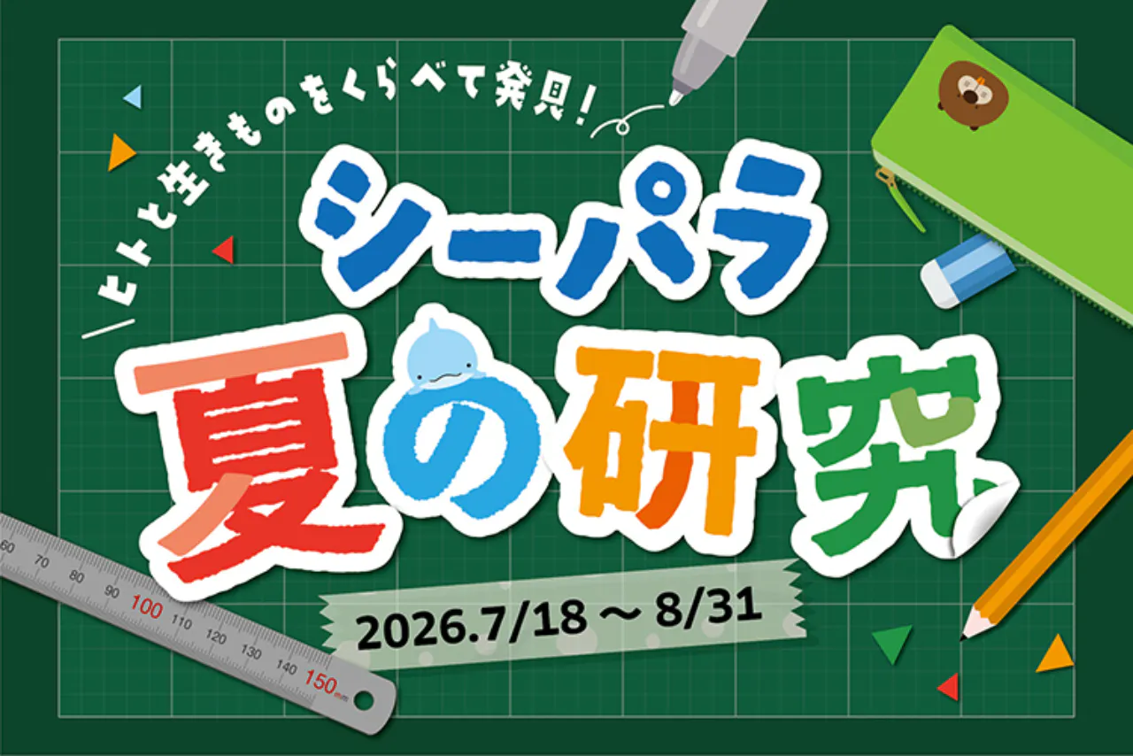 ＜直チケ＞夏の研究ブック＋アクアリゾーツパス