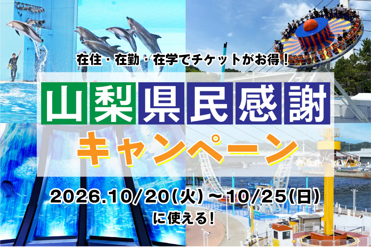 直チケ 4つの水族館の入館券とアトラクションフリーパスがセットになった「ワンデーパス」
