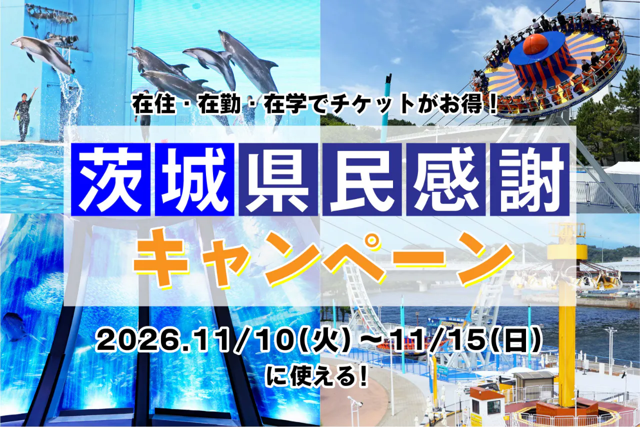 直チケ 4つの水族館の入館券とアトラクションフリーパスがセットになった「ワンデーパス」