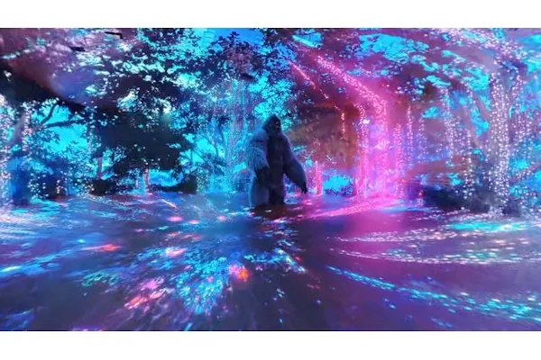 幻想的な没入型デジタルアート体験｜雨の日OK・SNS映え・平日夜23時