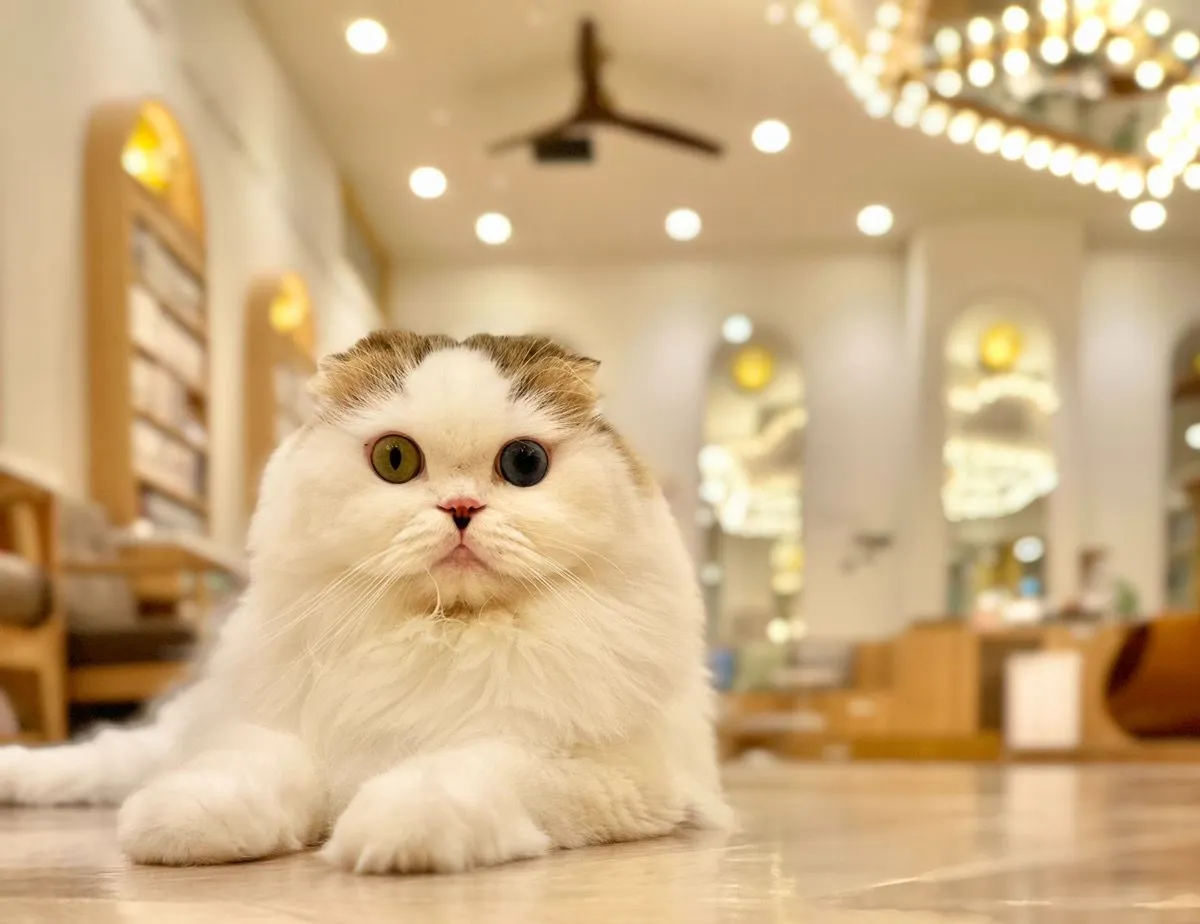 店舗の写真