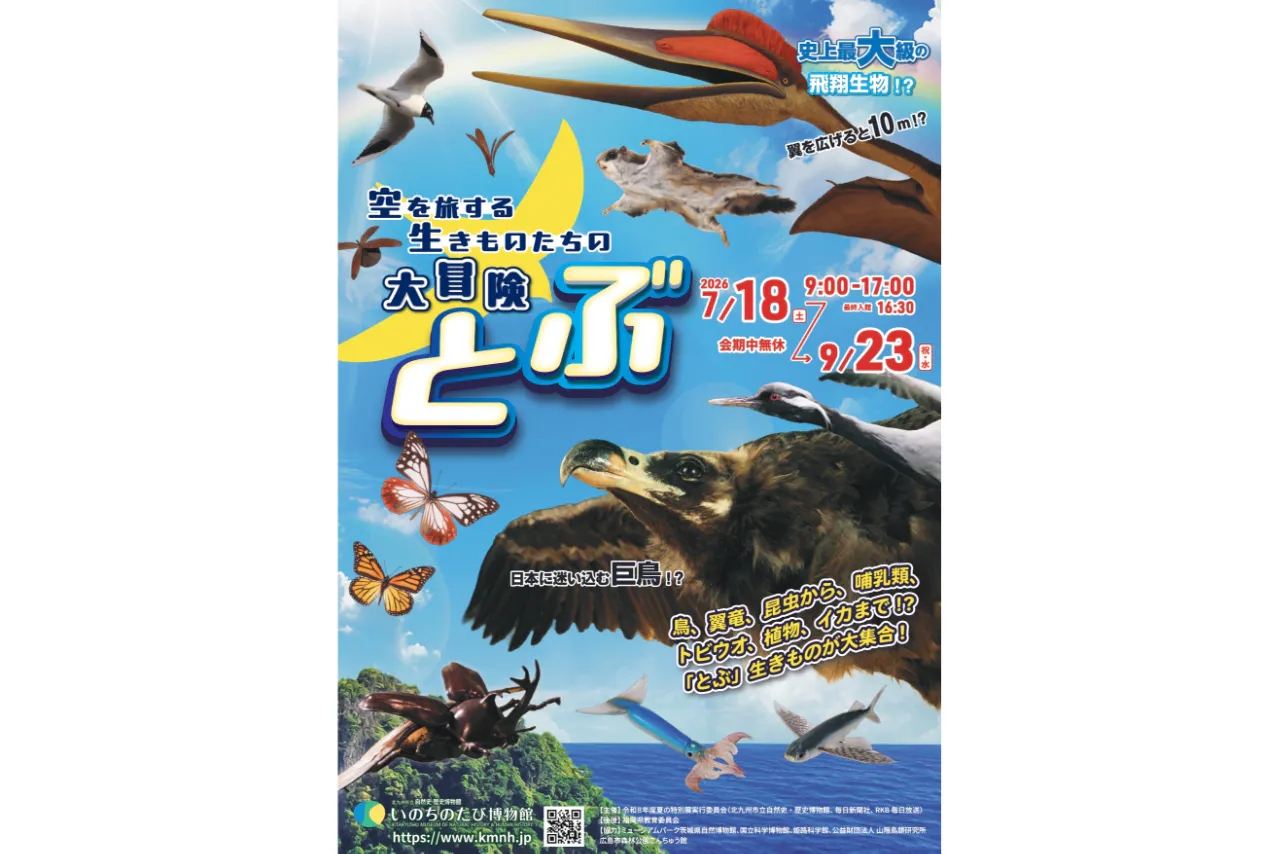 【前売券｜セット券（特別展＋常設展）】夏の特別展「とぶ　空を旅する生きものたちの大冒険」