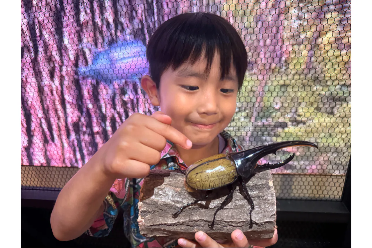 200円割引】カブト・クワガタふれあいの森 in 仙台 2026 親子ペア入場