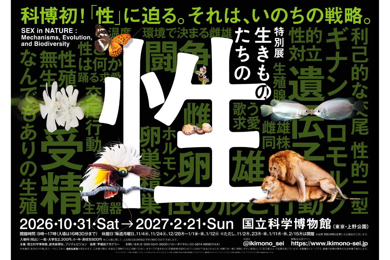 【前売｜日時指定（土日祝日）】特別展「生きものたちの性」（国立科学博物館）