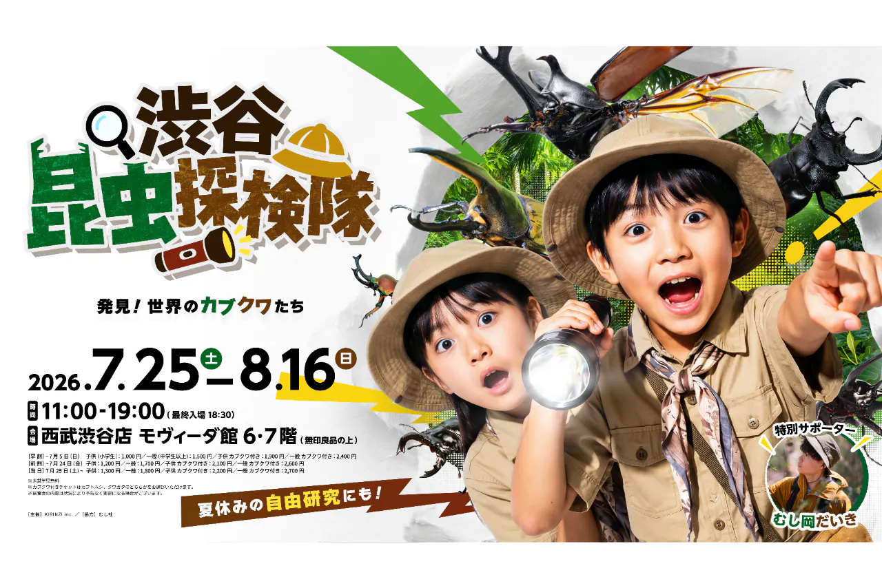 【前割｜カブトムシ付き】渋谷昆虫探検隊