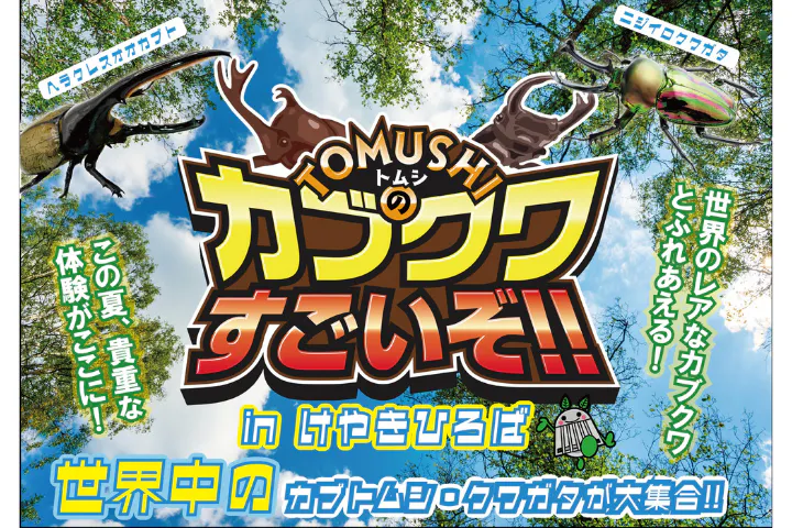 TOMUSHIのカブクワすごいぞ!! in けやきひろば