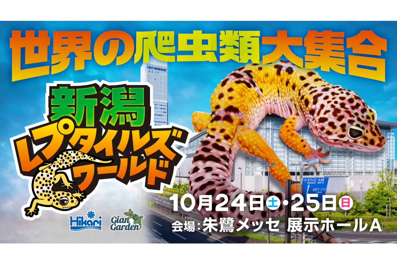 【前売券】新潟レプタイルズワールド