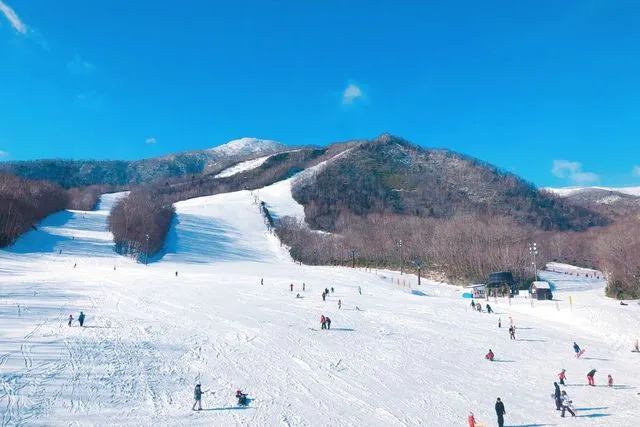 カルルス温泉サンライバスキー場_リフト券