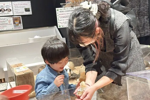 【土・日・祝】癒しと学びの動物園　KABAZOO　入場券