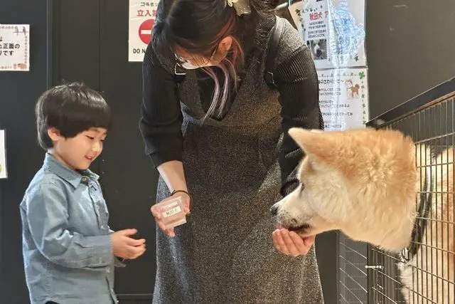 【平日】癒しと学びの動物園　KABAZOO　入場券（再入場可能チケット）
