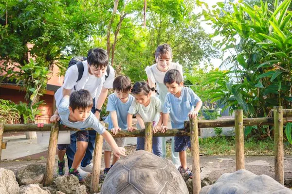 おきなわワールド大人2枚子供2枚 もっと沖縄を楽しむなら「おきなわワールド」へ（南城市） | よみもの