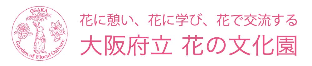 大阪府立花の文化園 入園チケット 前売り券 大阪府立花の文化園