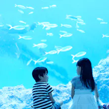 水族館