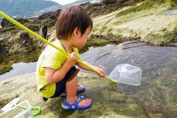 磯遊び