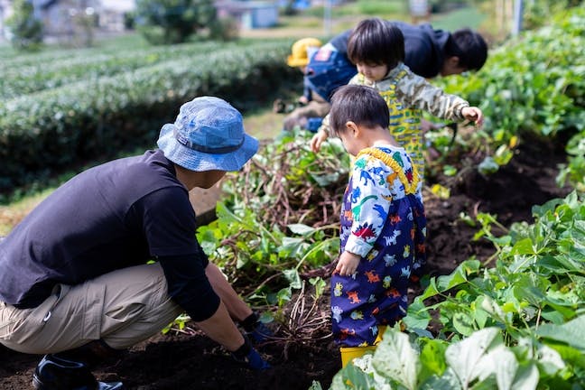 野菜狩り・収穫体験