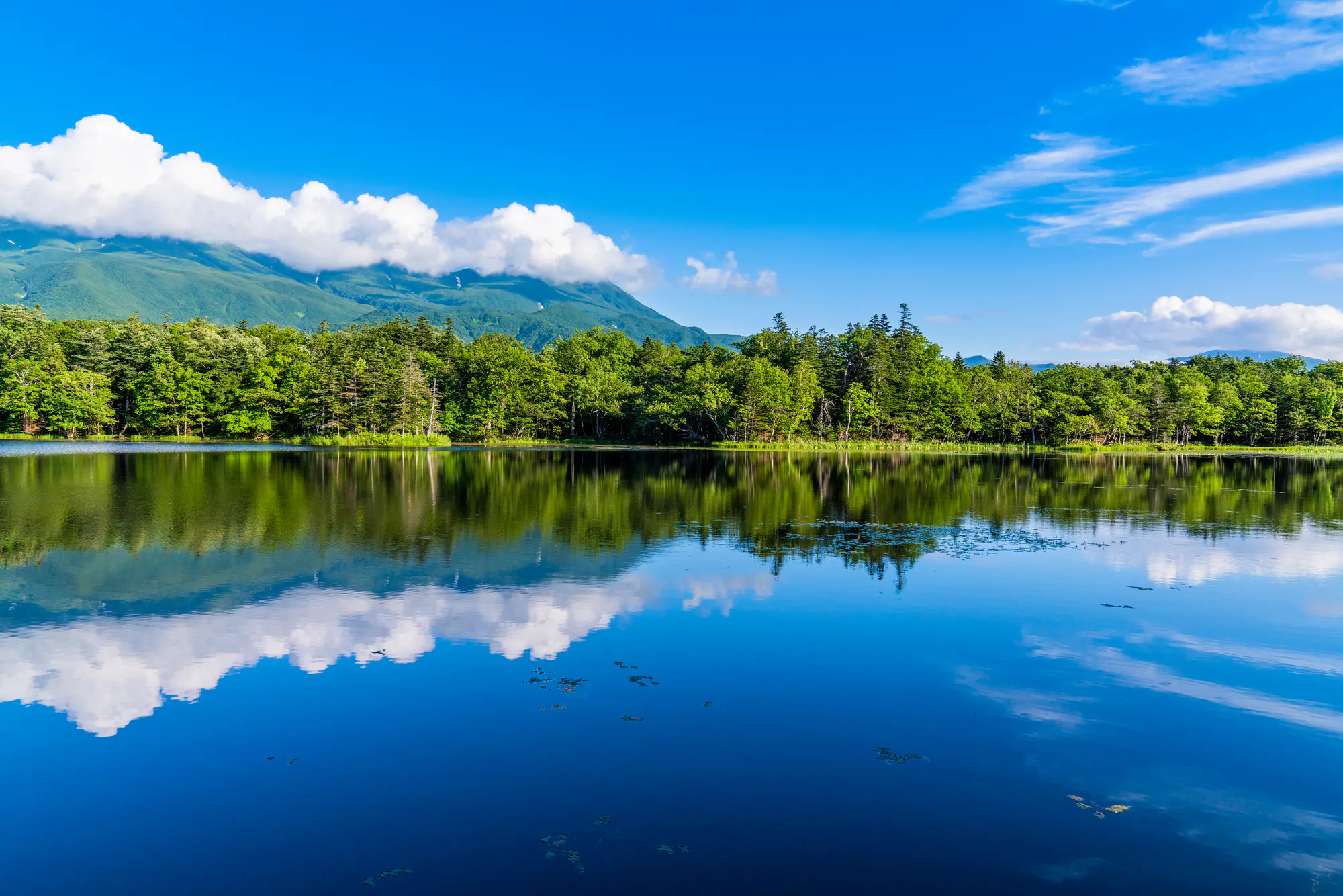 羅臼町（目梨郡）