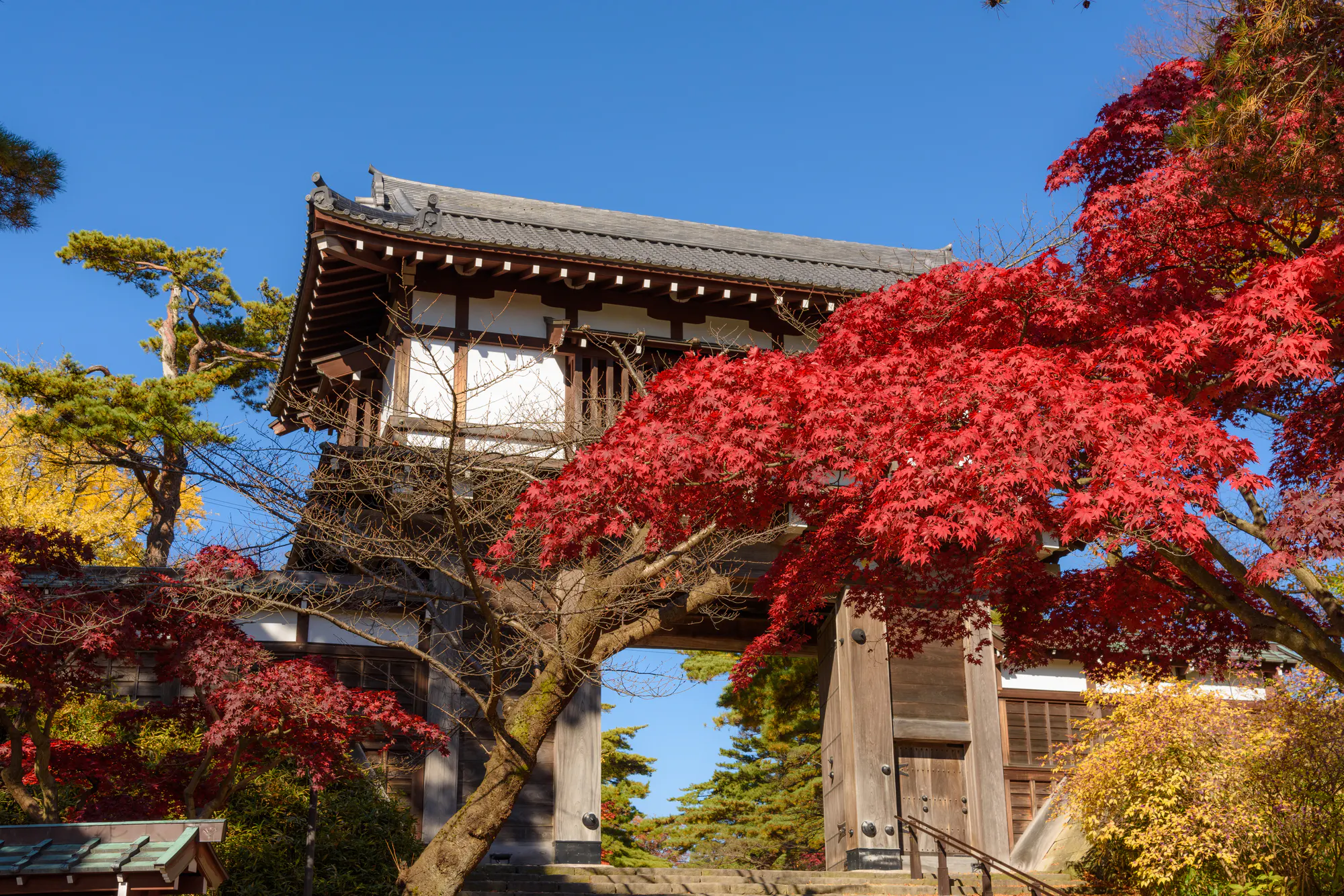 秋田市