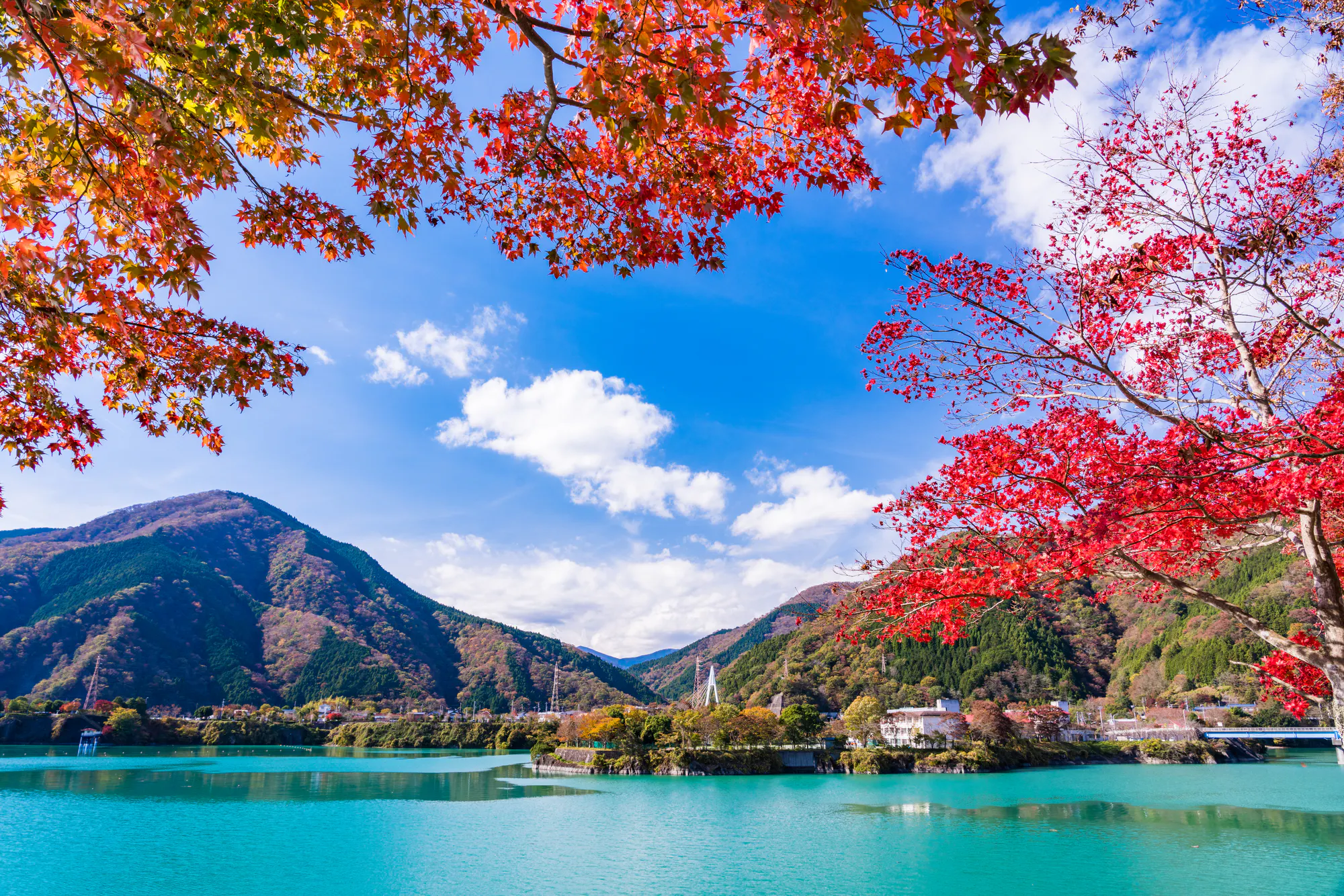 山北町（足柄上郡）・丹沢