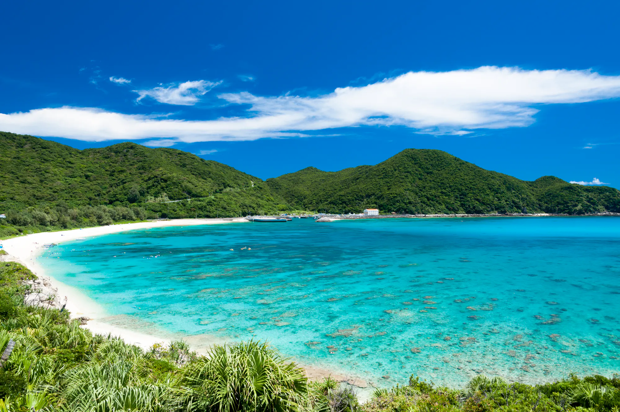 座間味島・阿嘉島・座間味村（島尻郡）