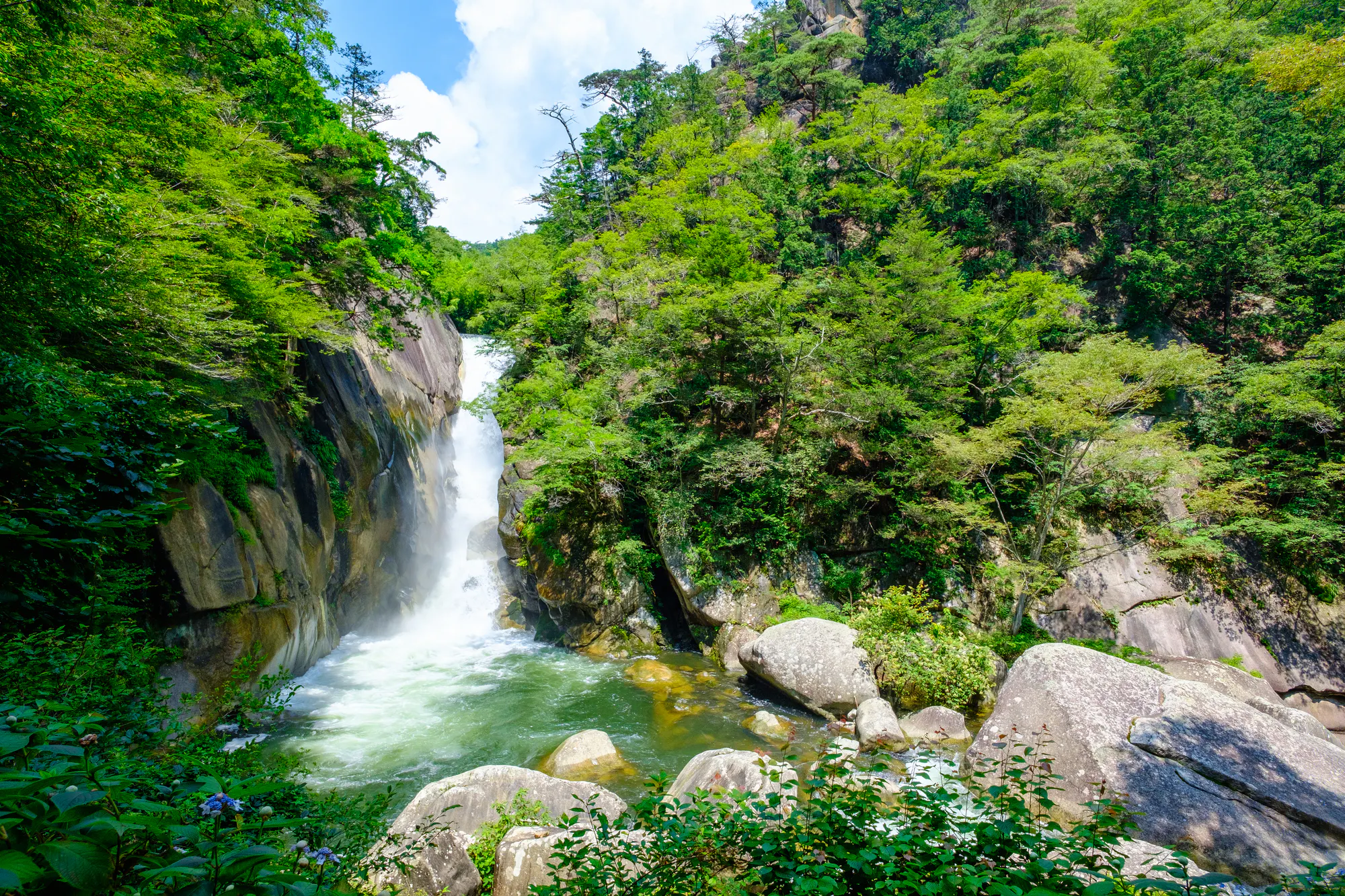 甲府市