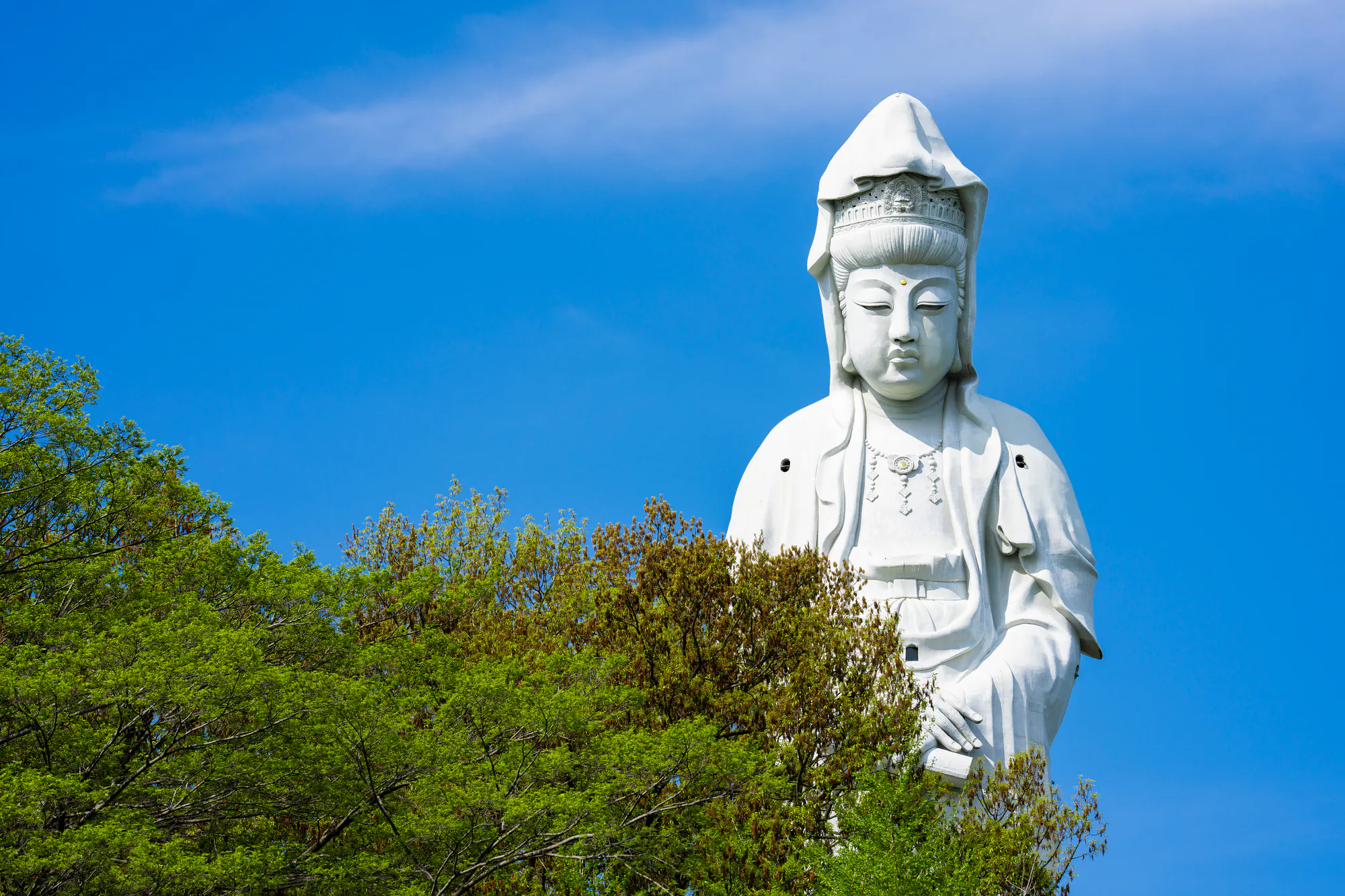 玉村町（佐波郡）